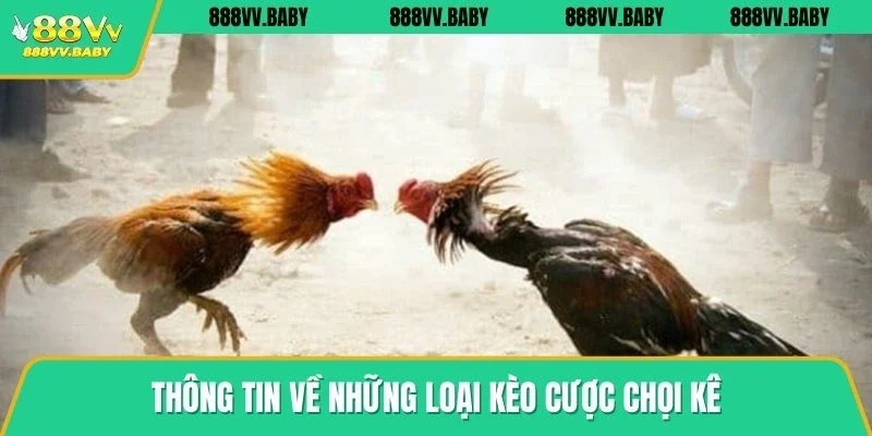 Thông tin về những loại kèo cược đá gà